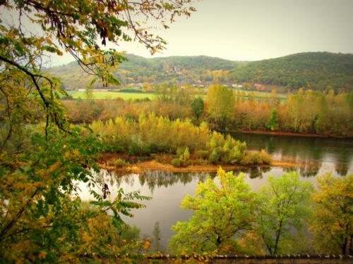 Vue du jardin à l'automne