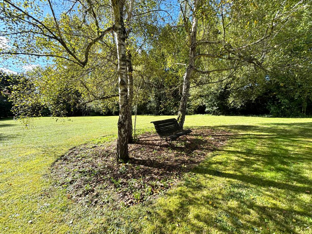 le jardin invite à la rêverie, à l'ombre des grands arbres 