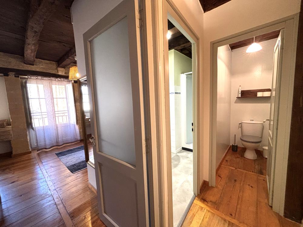 la salle d'eau et les toilettes attenantes 
