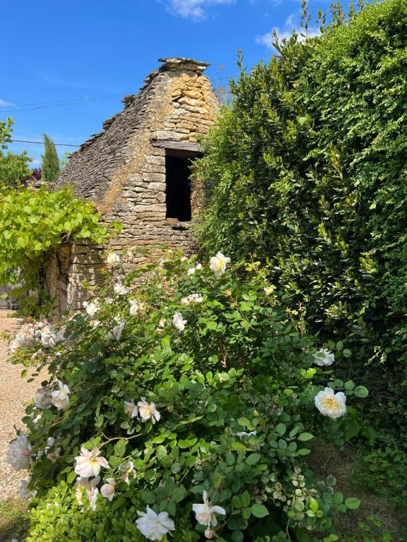 Le jardin a été dessiné par le paysagiste des Jardins que Marqueyssac