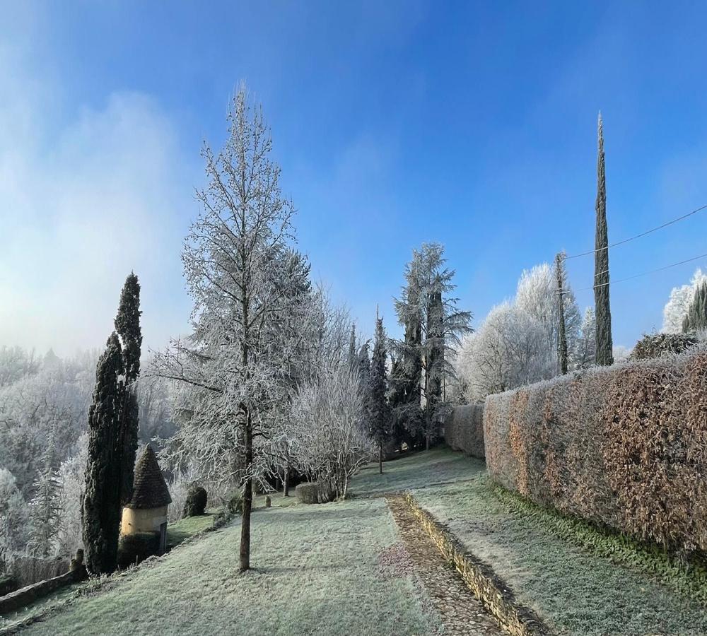 beauté hivernale 