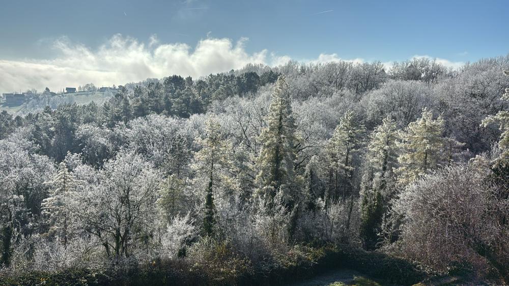 beauté hivernale 