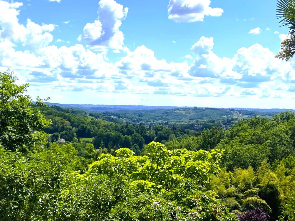 La vue depuis la terrasse 