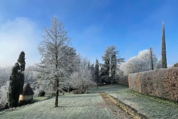 beauté hivernale 