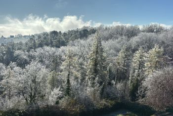 beauté hivernale 