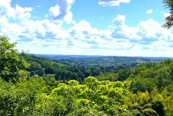 La vue depuis la terrasse 